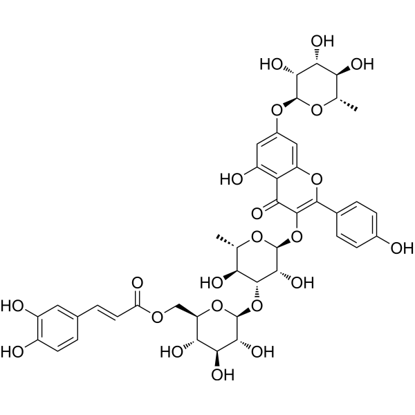 Kaempferol-3-O-[(6-caffeoyl)-β-glucopyranosyl (1→3) α-rhamnopyranoside]-7-O-α-rhamnopyranoside 14597